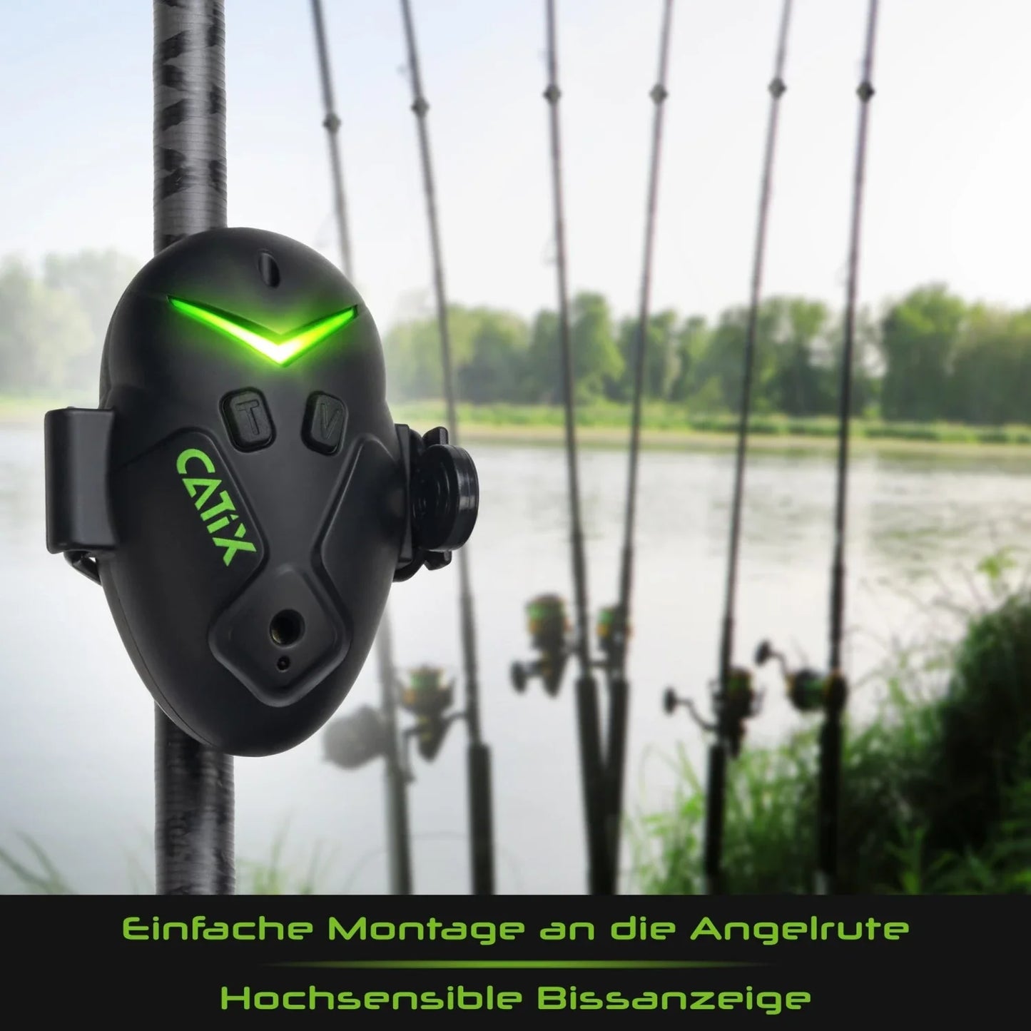 Pro Cat XP 8 Wels Bissanzeiger