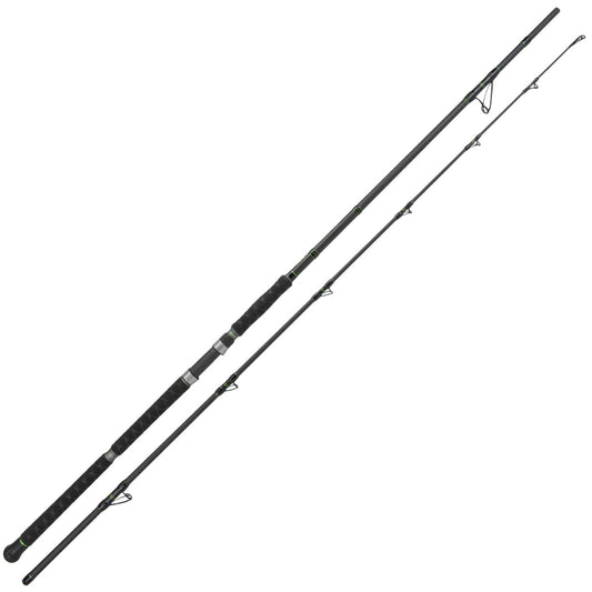 Catix Long Range Wallerrute 3.10m